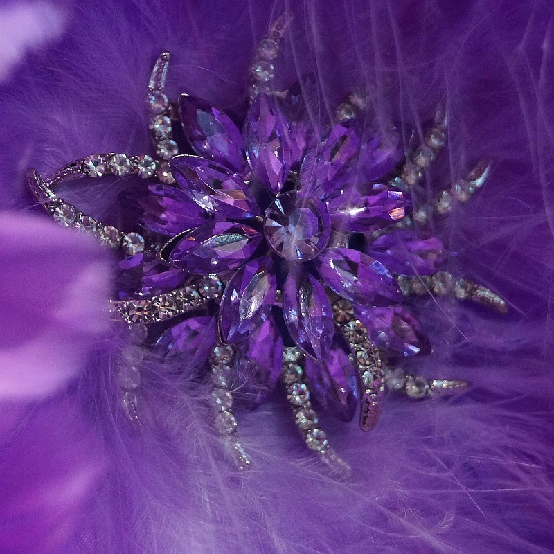 fascinator.wildly created