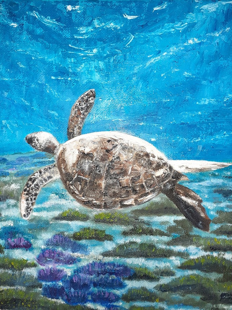 framed art. jacinta darragh