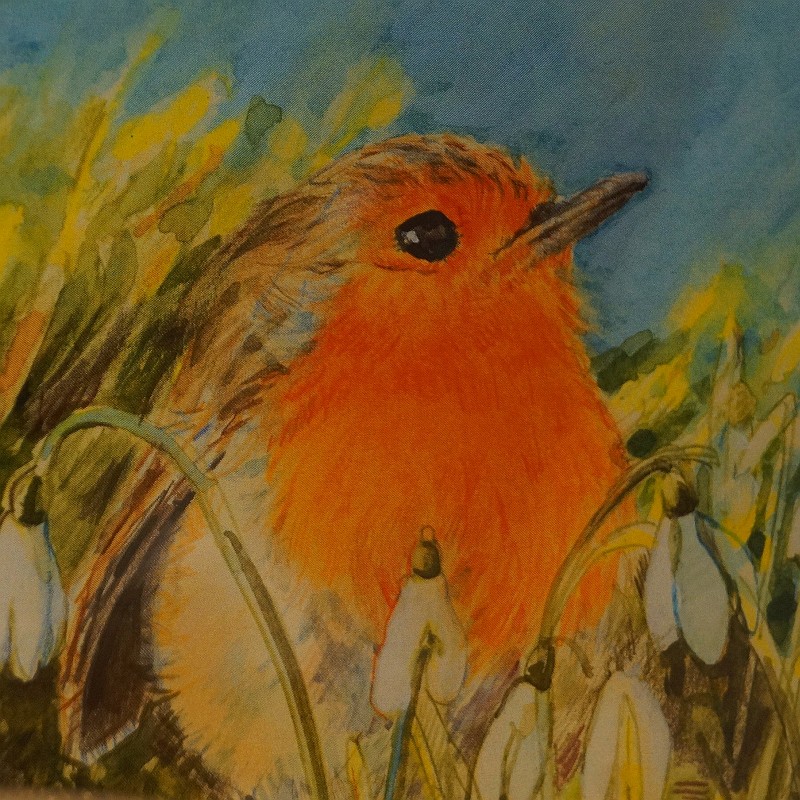 robin. mia foley art