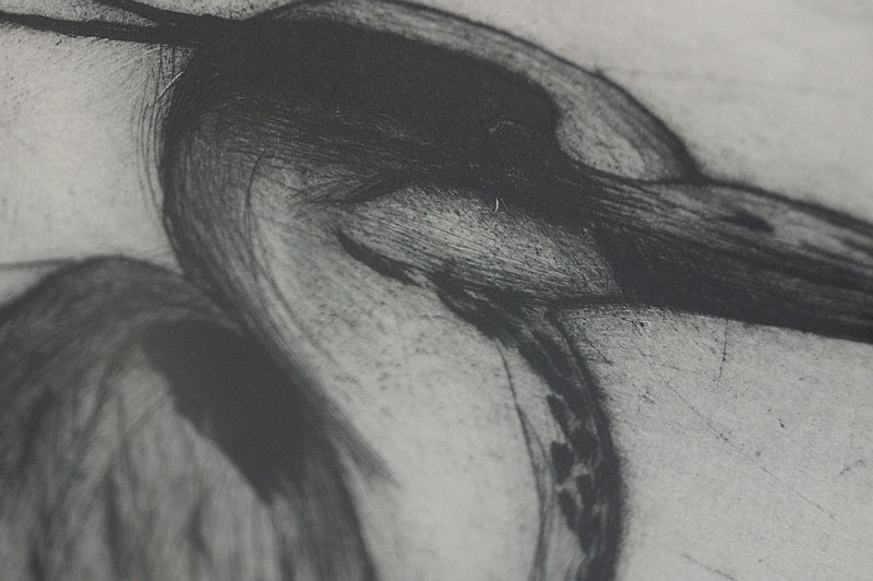 wall art. luka foley