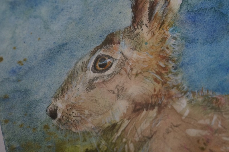 water colour. mia foley art